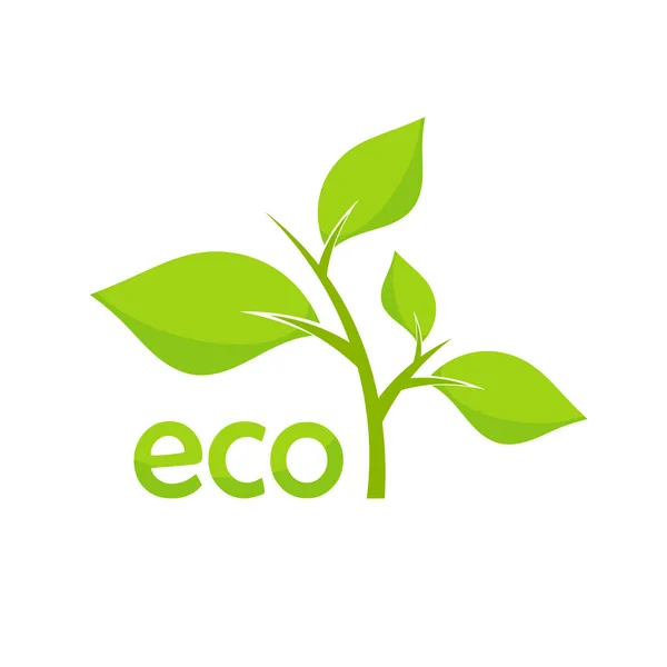 에코 녹색 식물 아이콘. — 스톡 벡터