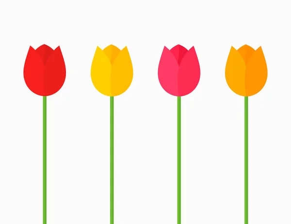 Colorful tulip flowers background. — Stock Vector