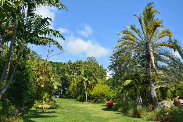 Тропический сад в Майами Бич . — стоковое фото