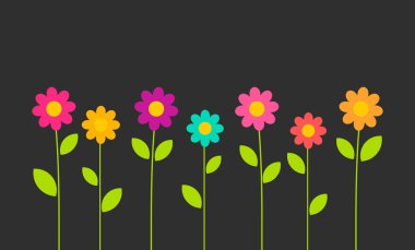 Siyah arka plan üzerinde renkli papatya çiçekleri. 