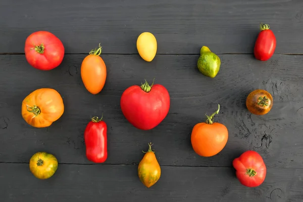 Tomates de la reliquia, diferentes colores y variedades — Foto de Stock