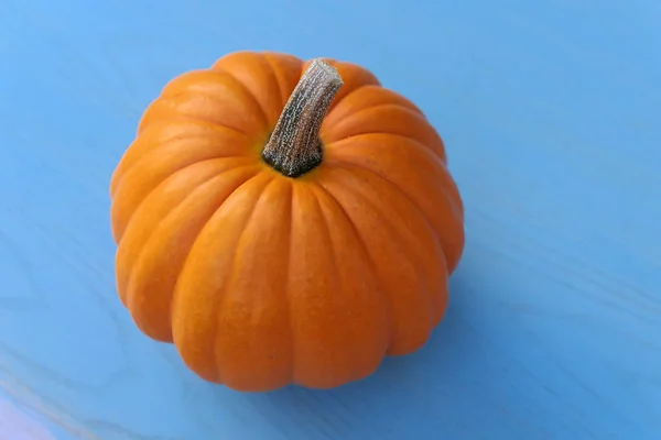 Calabaza naranja sobre fondo azul — Foto de Stock