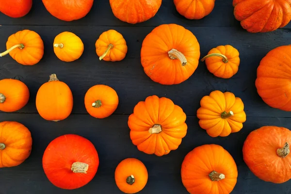 Orange dynie płasko leżał na czarnym drewnianym tle — Zdjęcie stockowe