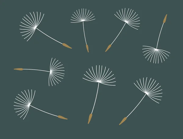 Dandelion blown seeds on dark blue background. — Stock Vector