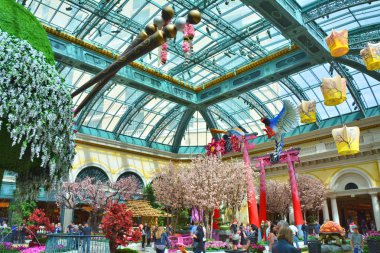  Bellagio Konservatuarı ve Botanik Bahçesi, bahar gösterisi.