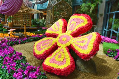  Bellagio Konservatuarı ve Botanik Bahçesi, bahar gösterisi