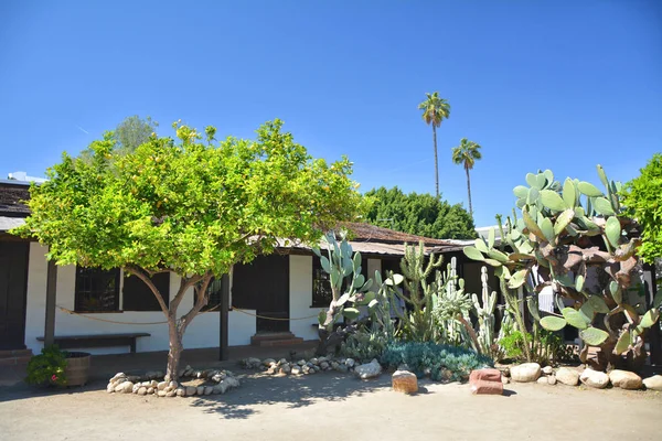 Kaktusy a citronový strom v Avila Adobe Garden v Los Angeles — Stock fotografie