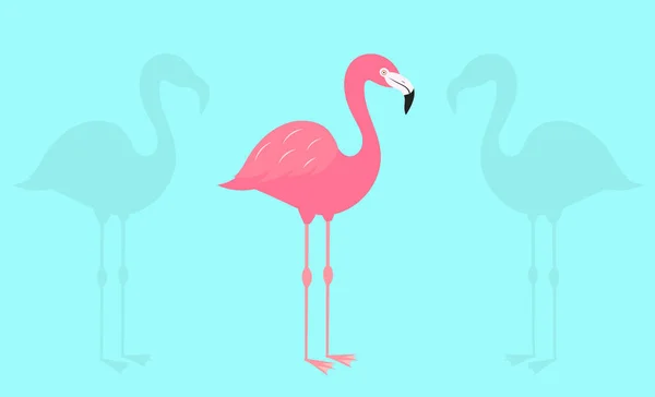 Flamingo on blue background. — Stock Vector
