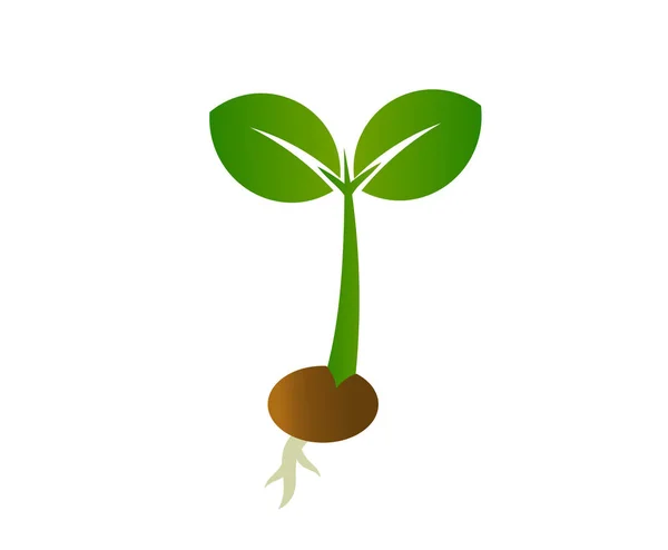 Pequeña planta de plántulas icono . — Vector de stock