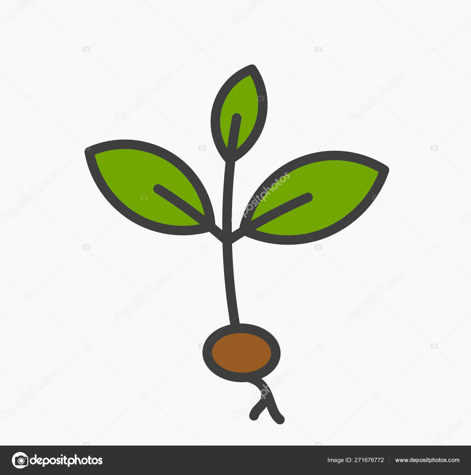 Flowering Plant Life Cycle Clipart Fertilization Germination \u0026 Pollination, image size:1600x1613