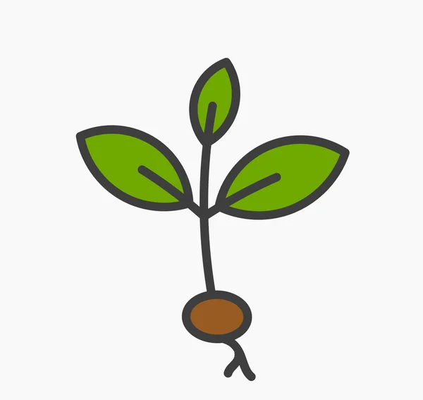 Pequeña planta icono de plántulas . — Vector de stock