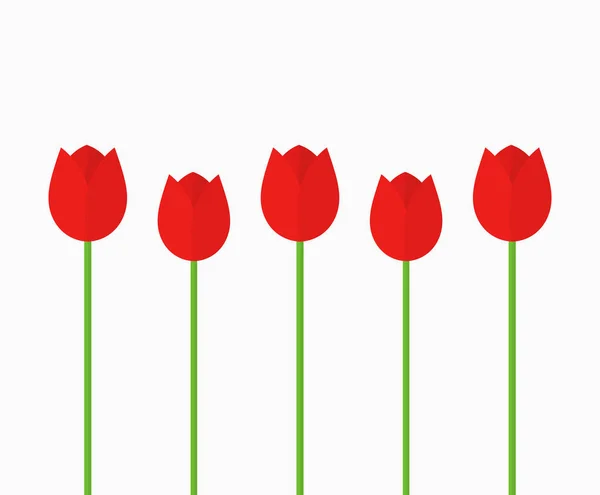 Röd tulpan blommor bakgrund. — Stock vektor