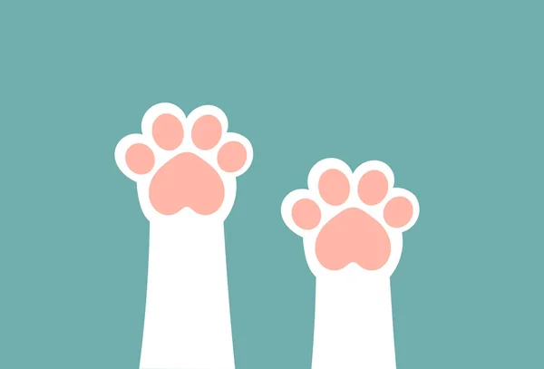Cute white cat paws with pink pillows up. — Stock Vector