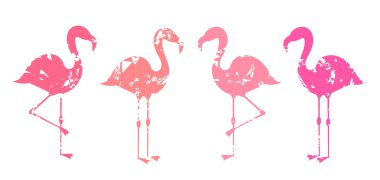 Soyut pembe flamingolar grup beyaz arka plan üzerinde izole şekiller.