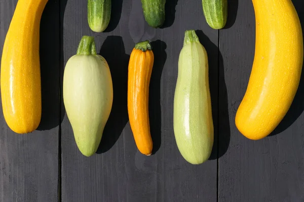 Fresh harvested yellow zucchini squach and green cucumbers — Stock Photo, Image