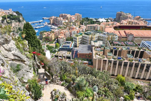 Exotic garden in Monaco. — Stock Photo, Image