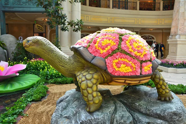 Jardín Botánico y Conservatorio de Bellagio, exposición de primavera . — Foto de Stock