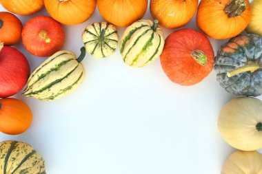 Kabak ve squashes çeşitleri sınır farklı renklerde