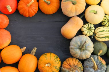 Kabak ve kabak çeşitleri farklı renklerde.