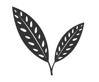 Tropikal bitki yaprağı simgesi.