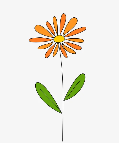 Turuncu papatya çiçeği — Stok Vektör