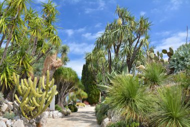 Monako egzotik Bahçe