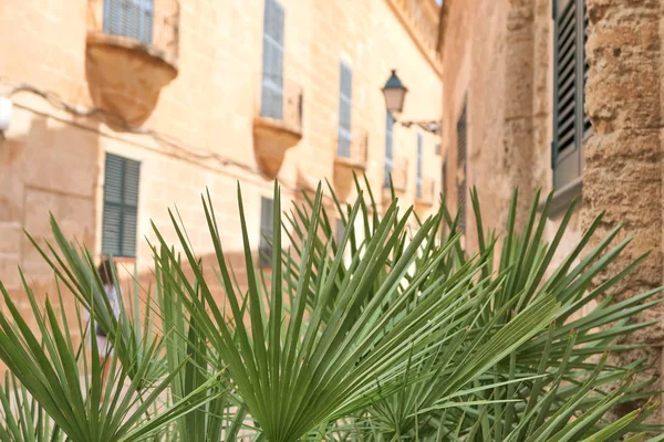 Casco antiguo de Ciutadella en Menorca — Foto de Stock