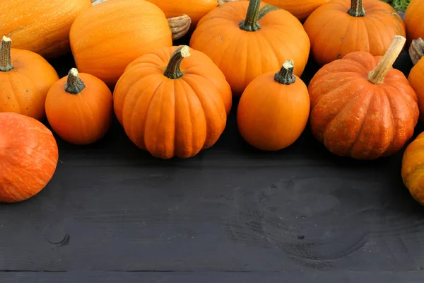 Abóboras de outono em fundo de madeira . — Fotografia de Stock