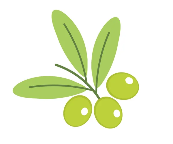Branch of green olives icon. — ストックベクタ