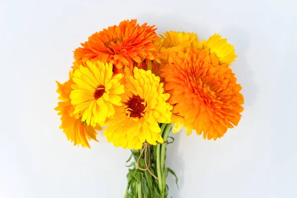 Bukiet Pomarańczowy Żółty Calendula Stokrotki Kwiaty — Zdjęcie stockowe