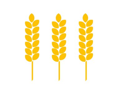 Altın buğday kulaklı düz ikon. Vektör illüstrasyonu.