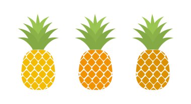 Konulu ananas meyve ikonları. Vektör illüstrasyonu.