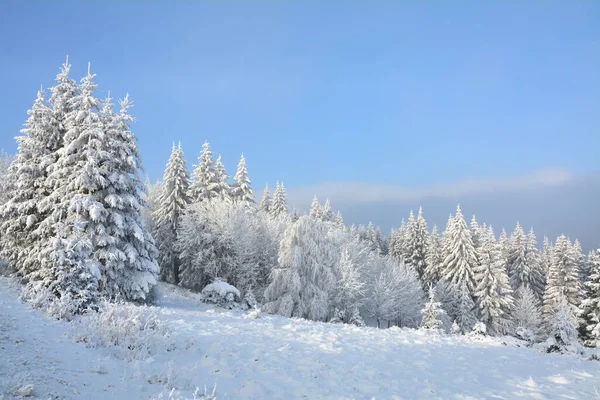 Bosque Invierno Cubierto Nieve Las Montañas País Las Maravillas Invierno — Foto de Stock