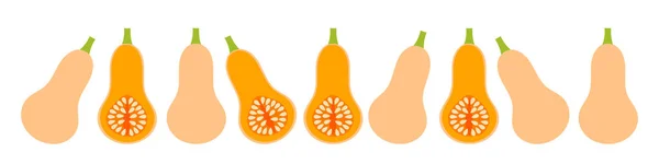 Bordure Courge Musquée Ilustration Vectorielle — Image vectorielle