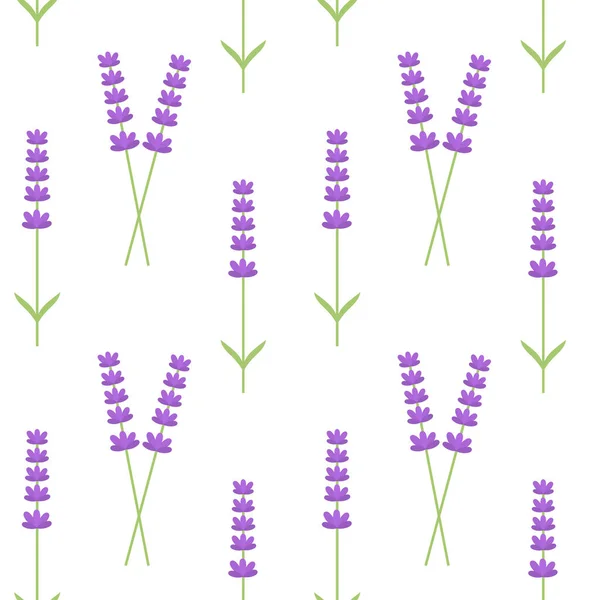 Lavender Flowers Seamless Pattern Vector Illustration — Stock Vector