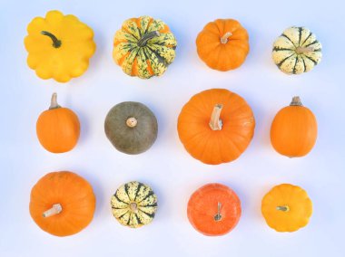 Çeşitli kabaklar ve kabaklar, renkli sonbahar arkaplanı.