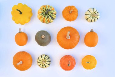 Farklı kabak ve kabak koleksiyonları, düz konum.