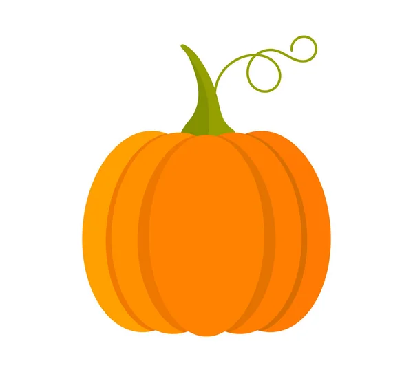 Símbolo Caída Fruta Calabaza Ilustración Vectorial — Vector de stock