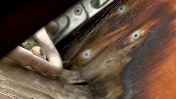 Spinnennetz Winkt Vor Dem Alten Holzhintergrund Mit Metallscharnier Und Kunststoffgriff — Stockvideo