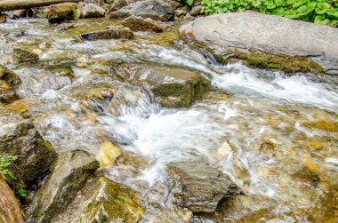 Nehir taşların ve kayaların arasından akar taze yeşil bir kuyuya yakın bir manzarada doğal olarak.