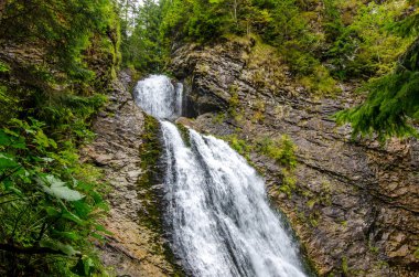 Romanya 'nın Transilvanya bölgesindeki Gelinin Vail şelalesi bir uçurumdan akan temiz suyla