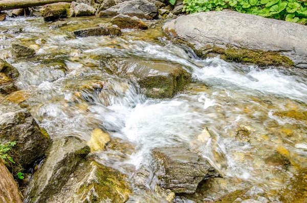 Nehir taşların ve kayaların arasından akar taze yeşil bir kuyuya yakın bir manzarada doğal olarak.
