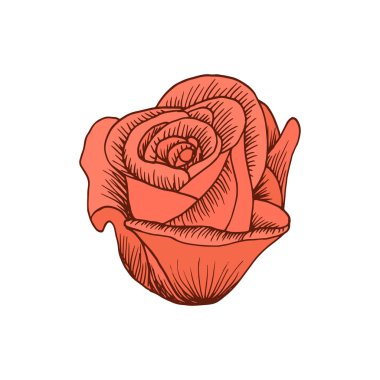Gül simgesini elle çizilmiş tarzı. Yazdır, etiket, Tekstil için. Vektör çizim