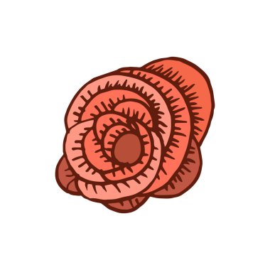 Gül simgesini elle çizilmiş tarzı. Yazdır, etiket, Tekstil için. Vektör çizim