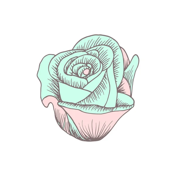 Icono Rosa Estilo Dibujado Mano Para Impresión Pegatina Textil Ilustración — Vector de stock