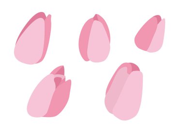 Lale çiçek simgeleri düz stil ayarlayın. Vektör çizim