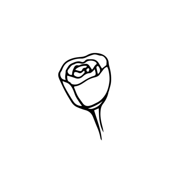 Logo rose en style dessiné à la main — Image vectorielle