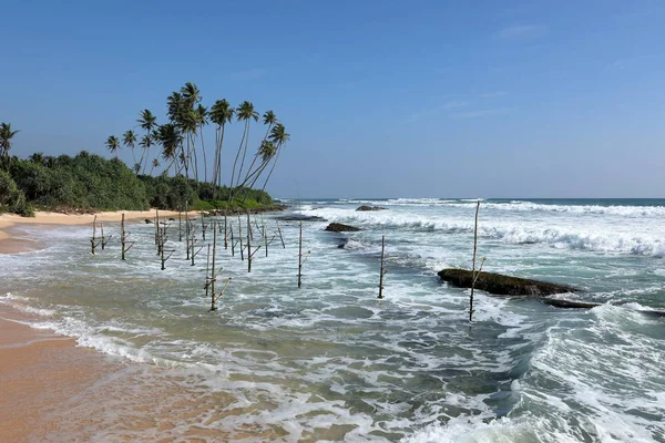 Los Pescadores Zancos Sri Lanka Playa Koggala — Foto de Stock