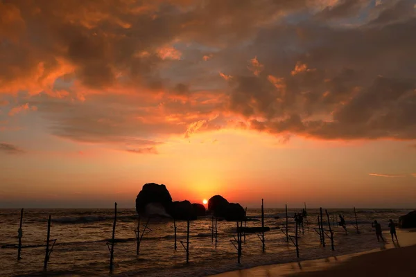 The stilt fishermen in the sunset at Koggala in Sri Lanka