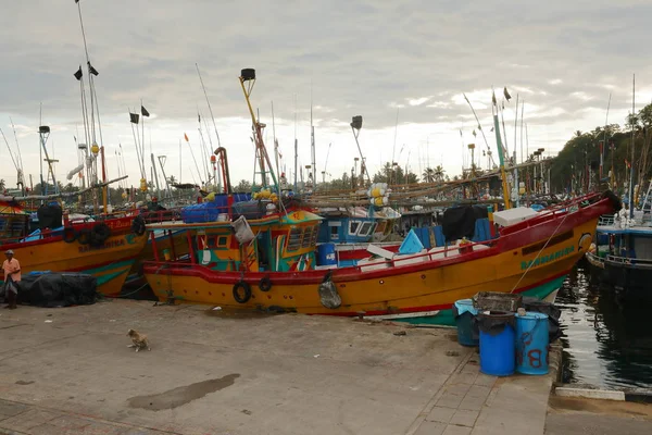Cattura Pesce Fresco Nel Porto Matara Nello Sri Lanka Dicembre — Foto Stock